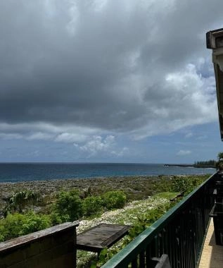 Pedro Site Views