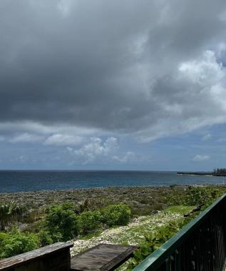 Pedro Site Views