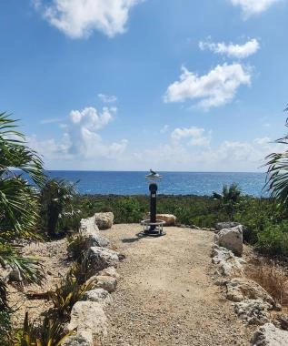 Pedro Site Views