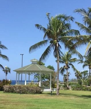 Pedro Site Views